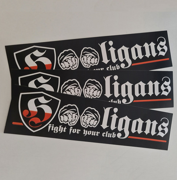 LIGANS - STICKERE 10 BUCĂȚI