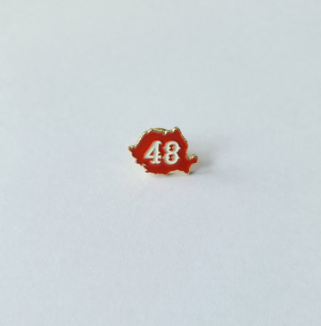 48 - PIN METALIC