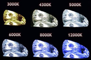 BEC XENON - H1 35w 4300k, 5000k, 6000k, 8000k, 10000K, 12000K