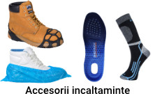 Accesorii incaltaminte