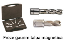 Freze gaurire talpa magnetica