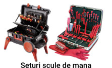 Seturi scule de mana