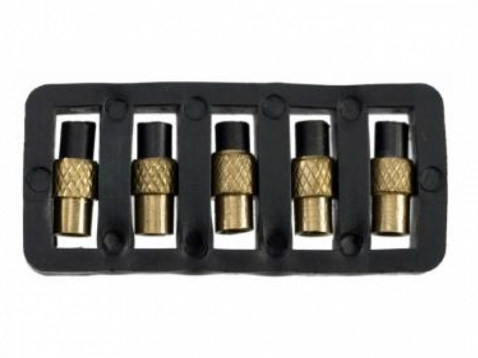 Piatra amnar - set 5 buc