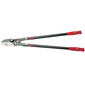 555/6 Foarfeca de pomi, L 750 - 603522