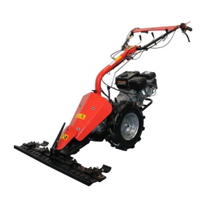 Multifunctional Bisonte BTA-MF360