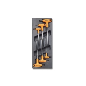 Set imbusuri Torx tip T, in suport termoformat T55