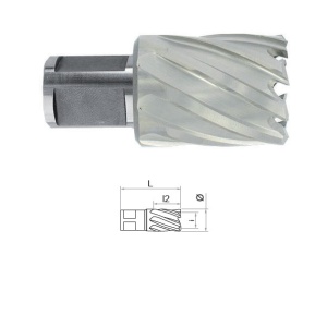 Carota HSS cu prindere Weldon (3/4") lungime 30 mm, DIM 16.0