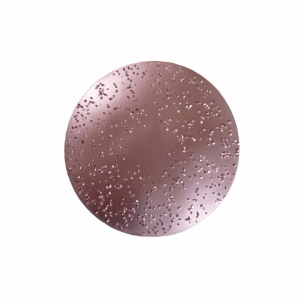 Disc metalic abraziv Ø 200 mm, mediu Chameleon
