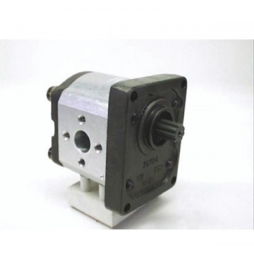 Pompa hidraulica cu roti dintate Case 1530459C1