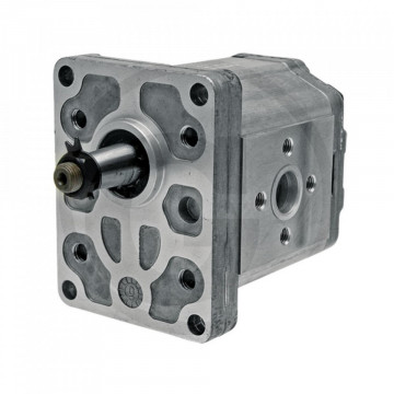 Pompa hidraulica cu roti dintate Massey Ferguson 3539859M91