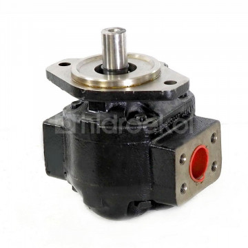 Pompa Hidraulica 919/21800 919/74500 PAP2210G2B2A