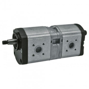 Pompa hidraulica cu roti dintate Fendt G380940010110