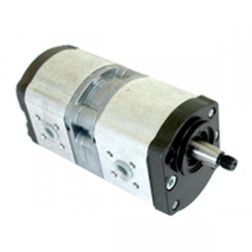 Pompa hidraulica cu roti dintate Case 155700750003