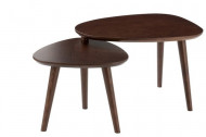 Set Van 2 Bijzettafel Vintage Hout Bruin