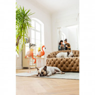Champagnekleurige Recamiere Santa Barbara Bank 162cm