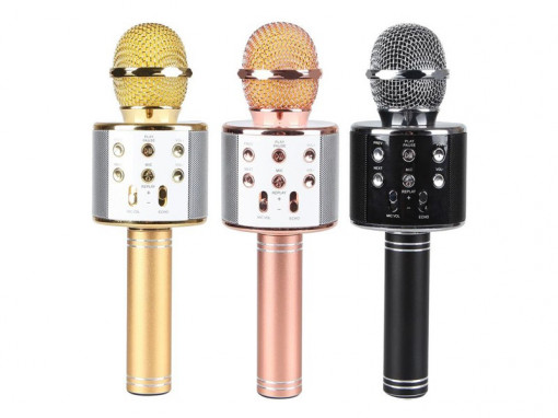 Microfon karaoke cu Boxa incorporata