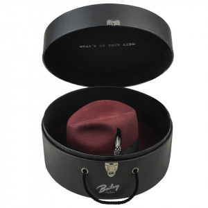 Bailey of Hollywood, Cutie palarii neagra