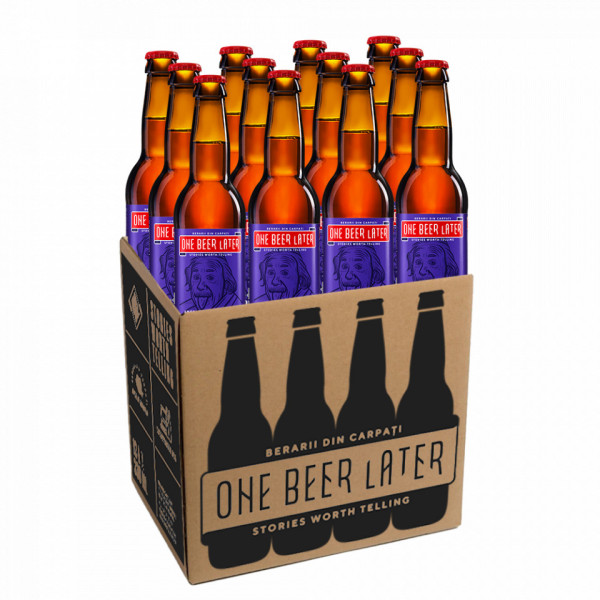 One Beer Later Albert is Wrong - 12 PACK