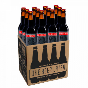 One Beer Later Wooow - 12 PACK