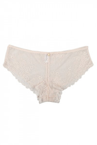 Boxer brazilian din dantela, Lemila