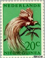 Nieuw-Guinea NG 29  1954 Paradijsvogel 20 cent  Gestempeld