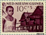 Nieuw-Guinea NG 42  1957 Leprabestrijding 10+5 cent  Gestempeld