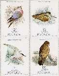 azo 391C#394C Postfris 1988 Vogels