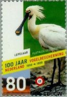 Nederland NL 1811  1999 Vogelbescherming 80 cent  Gestempeld
