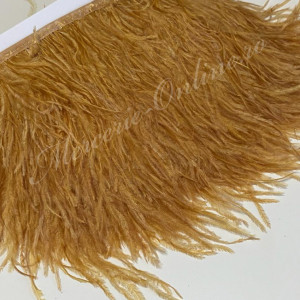 Banda pene strut, Gold, (la metru) Cod:2530