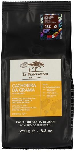CACHOEIRA da GRAMA Cafea Boabe, 100% Arabica, origine Vale de Grama Brazilia, pungă 250g