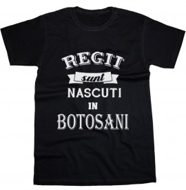 Regii sunt nascuti in Botosani