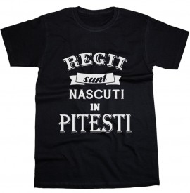 Regii sunt nascuti in Pitesti