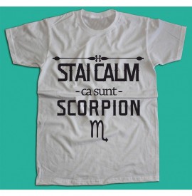 Stai calm - Scorpion [Tricou] *LICHIDARE STOC*