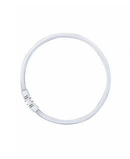 OSRAM LEDVANCE - 4050300528540 - Tradicional FC 40W/830 2GX13