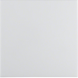 16208989 - S.1/B.x - tecla simples, branco BERKER EAN:4011334277170