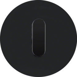 1001205500 - R.classic - tecla rotativa, Vidro preto BERKER EAN:4011334508359
