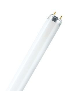OSRAM LEDVANCE - 4050300517933 - Tradicional LUMILUX L 58W/865 G13