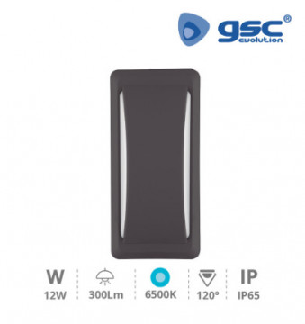 200205048 - Aplique parede Anthe 12W 6500K IP65 Gris antracite