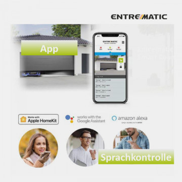 ESCWT - KIT DITEC Entrematic Smart Connect