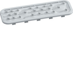 03 - VZ741 - 3250617860482 Placa passa-cabos traseira p/vega D HAGER