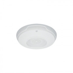 SPC-WL SYSTEM SENSOR SPCWL