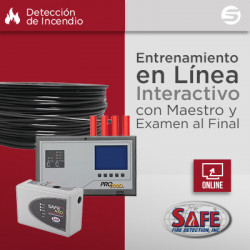 EXPERTASAFE SAFE FIRE DETECTION INC. EXPERTASAFE