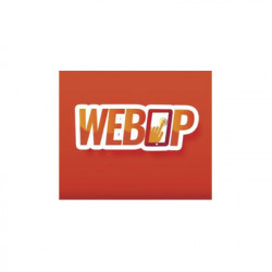 MCDI SECURITY PRODUCTS INC WEBOP-CH1 Licencia Modulo acceso Web local o remota para operadores del Software de Monitoreo Securithor v 2.0