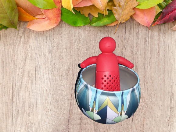 Mr. Tea Infuzor ceai