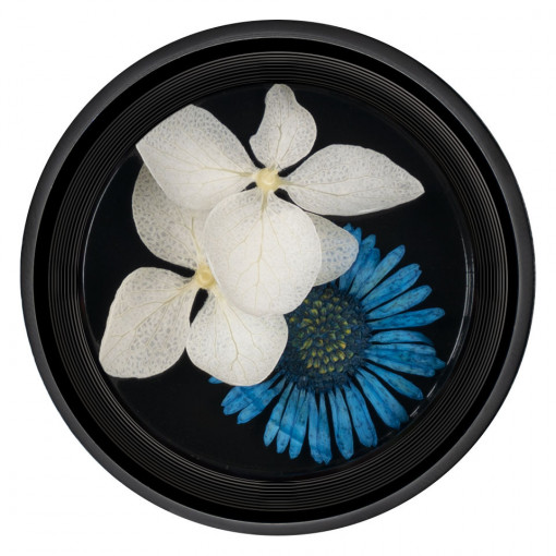 Flori Uscate Unghii Blossom #07 - LUXORISE