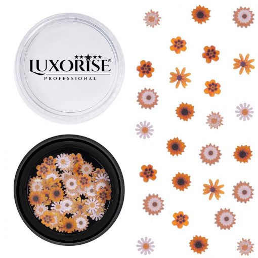 Decoratiuni Unghii Nail Art Rare Boom, LUXORISE