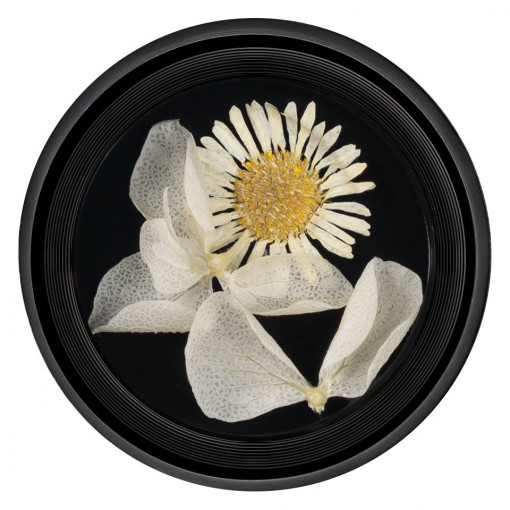 Flori Uscate Unghii Blossom #08 - LUXORISE