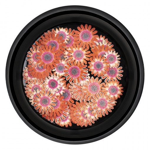 Decoratiuni Unghii Nail Art Blissful Flowers, LUXORISE