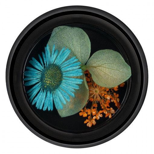 Flori Uscate Unghii Blossom #09 - LUXORISE