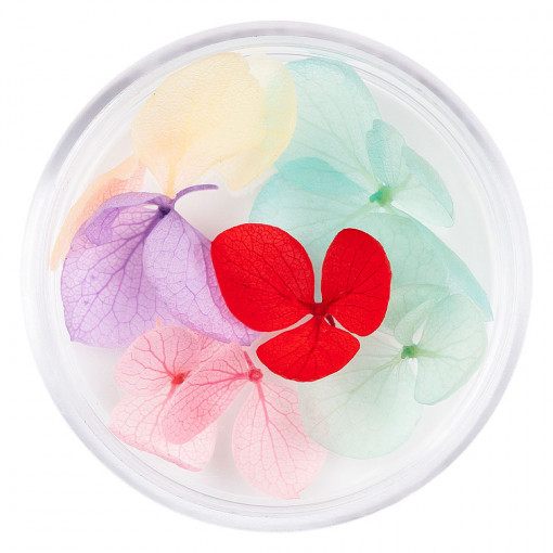 Flori Uscate Unghii Blossom #06 - LUXORISE